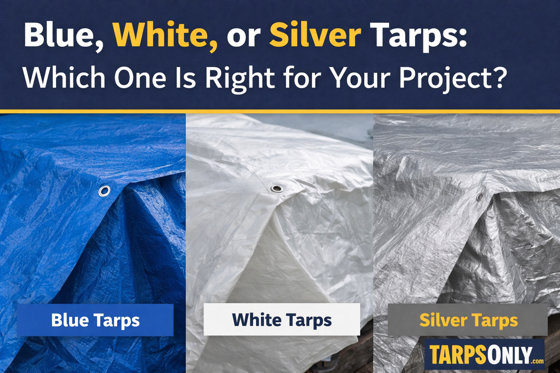 Blue, White, or Silver Tarps: Which One Is Right for Your Project?